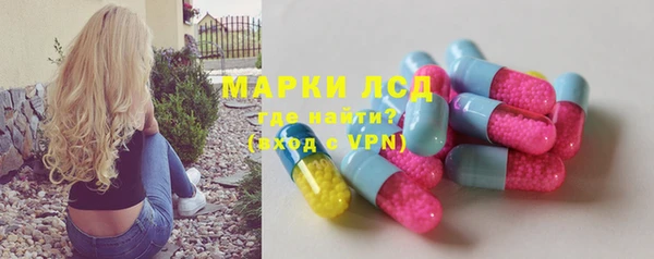 ПСИЛОЦИБИНОВЫЕ ГРИБЫ Новозыбков