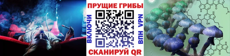 дарк нет Telegram  Нефтекамск  Псилоцибиновые грибы ЛСД  ОМГ ОМГ зеркало 