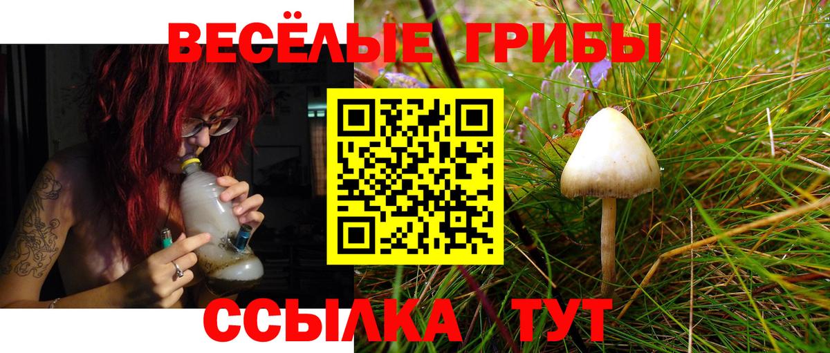 Галлюциногенные грибы ЛСД Нефтекамск